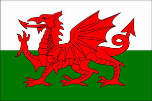 Pays de Galles" Cymru Welsh "Design Luggage Tag pour être Né Gallois..
