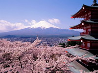 Fuji Beauty, Japan